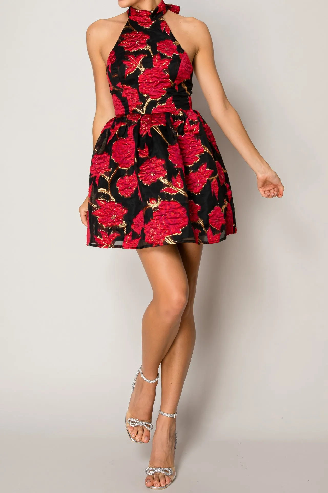 Red Rose Mini Dress