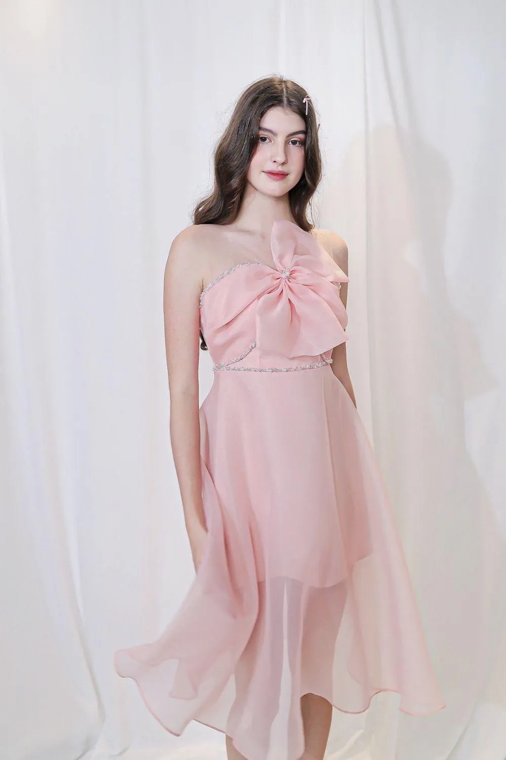 Sacha Fit and Flare Sleeveless Organza Midi Dress