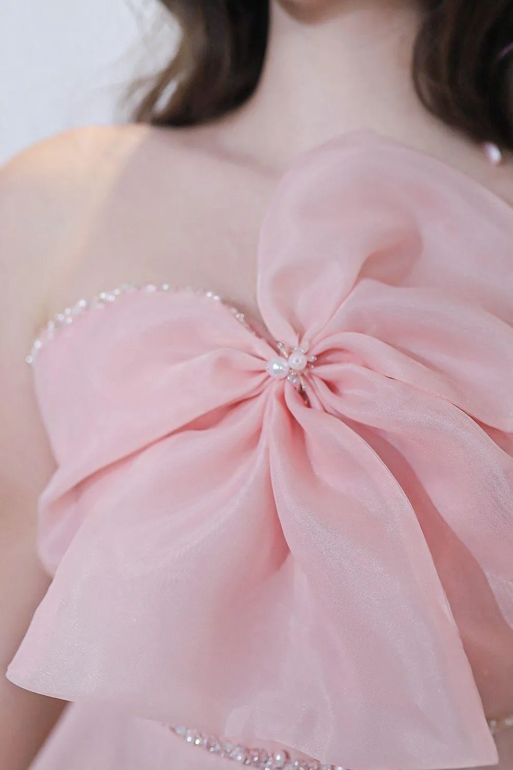 Sacha Fit and Flare Sleeveless Organza Midi Dress