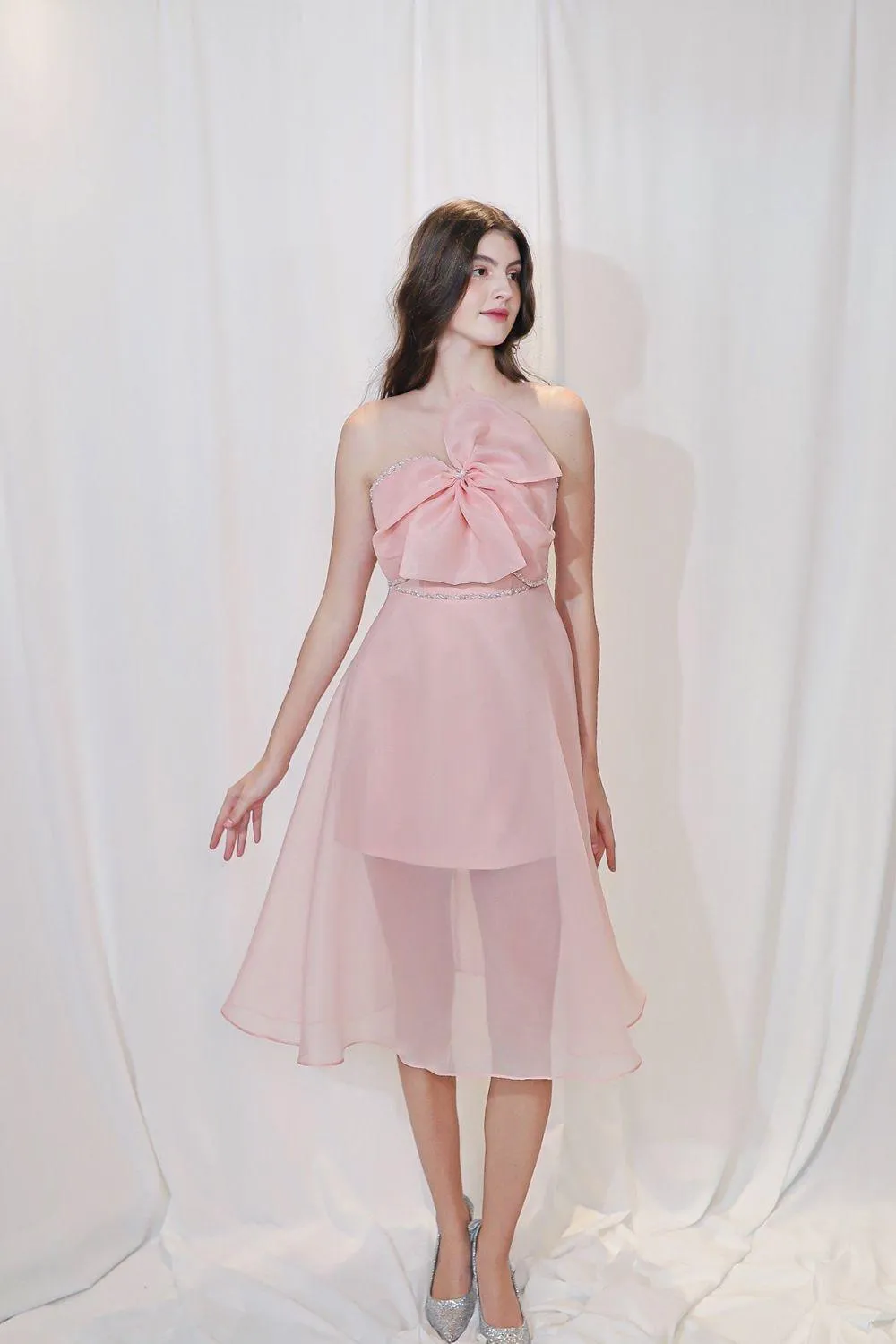 Sacha Fit and Flare Sleeveless Organza Midi Dress