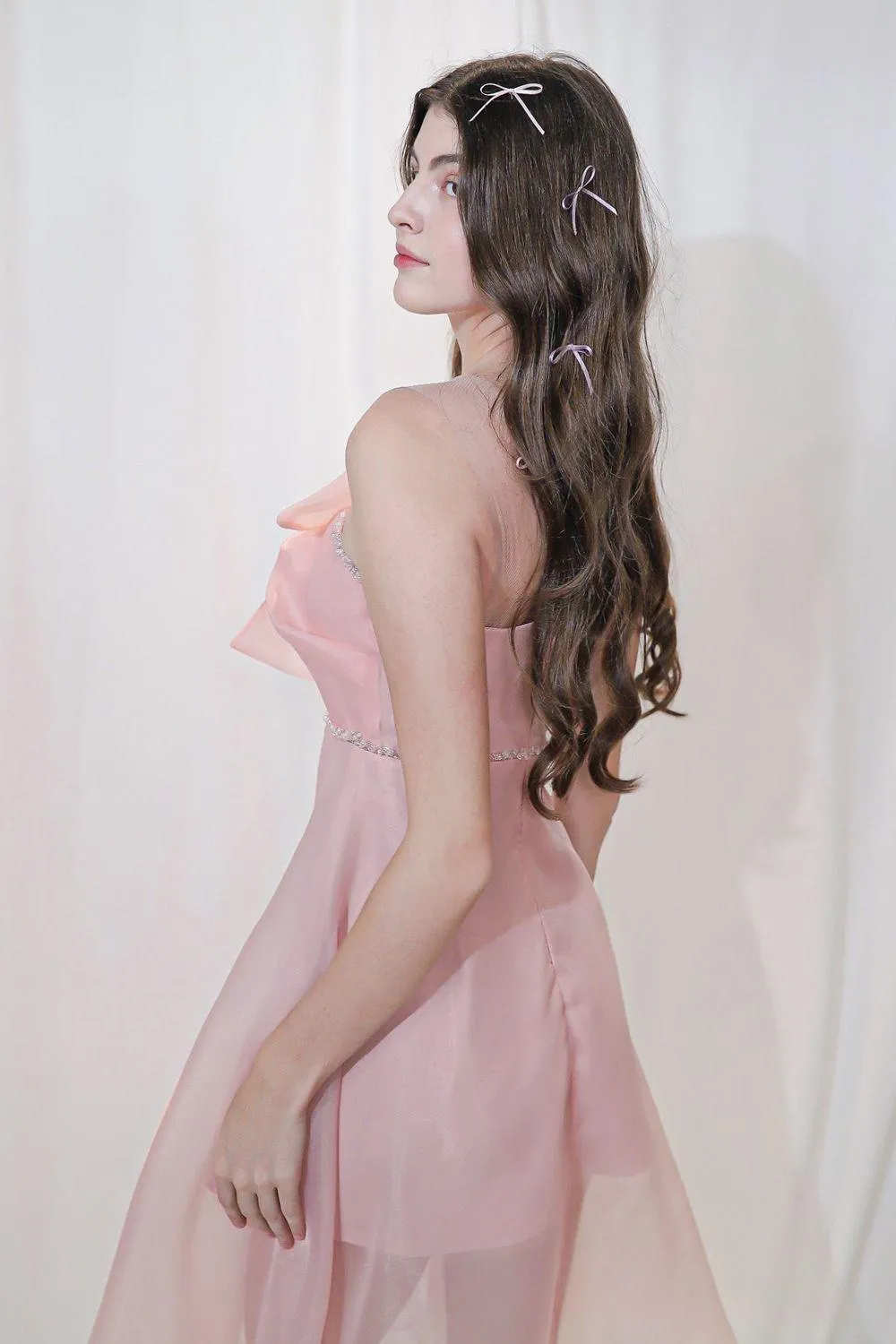 Sacha Fit and Flare Sleeveless Organza Midi Dress