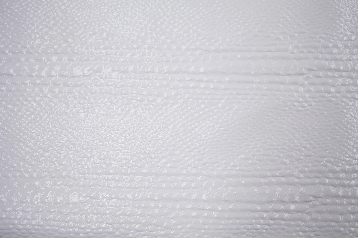 Snow Alligator