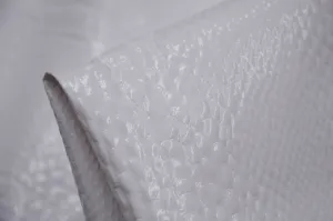 Snow Alligator