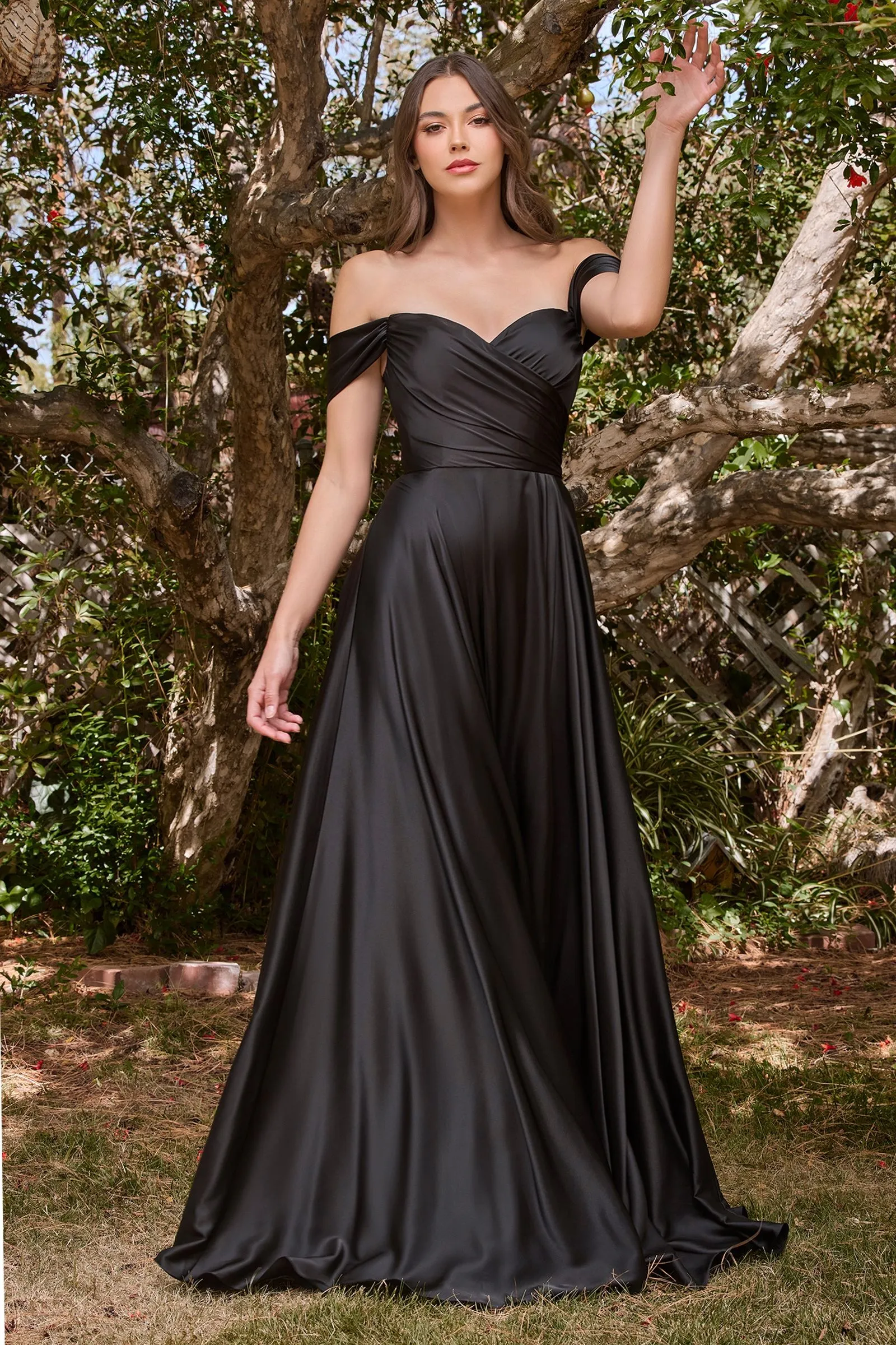 Victoria Special Order Dress